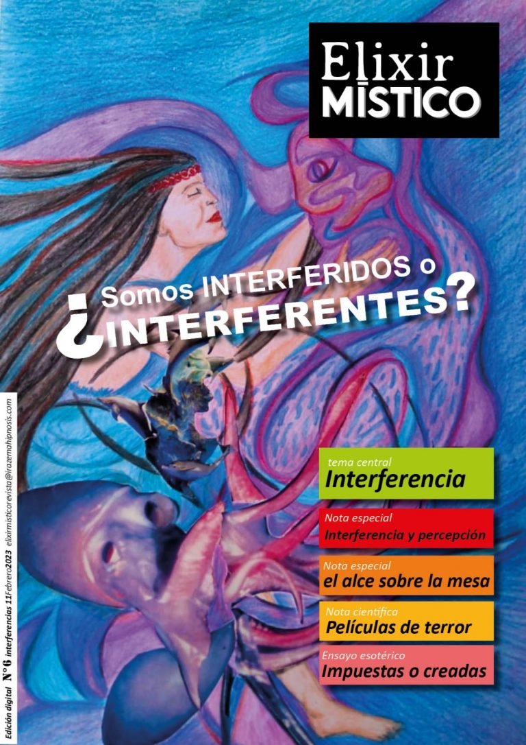 N° 6