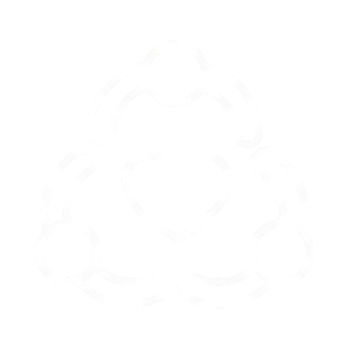 icono5